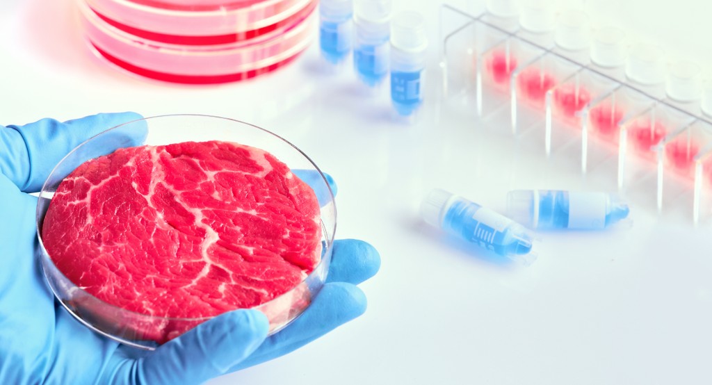 Carne sintetica: cos’è e quali sono i vantaggi sull’ambiente