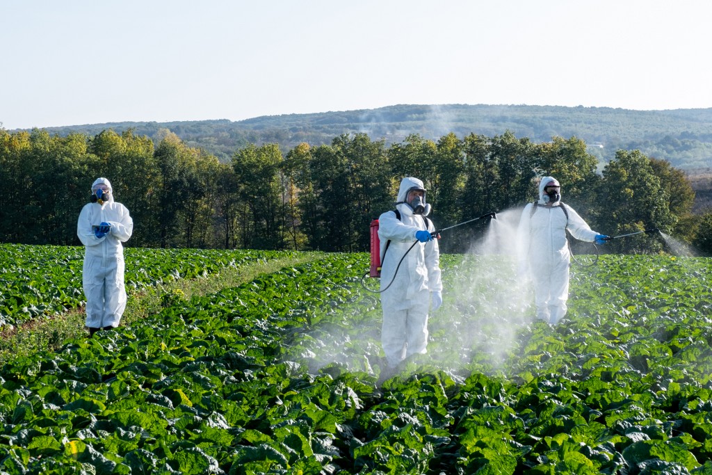 Cosa sono i pesticidi e perchè fanno male all’ambiente